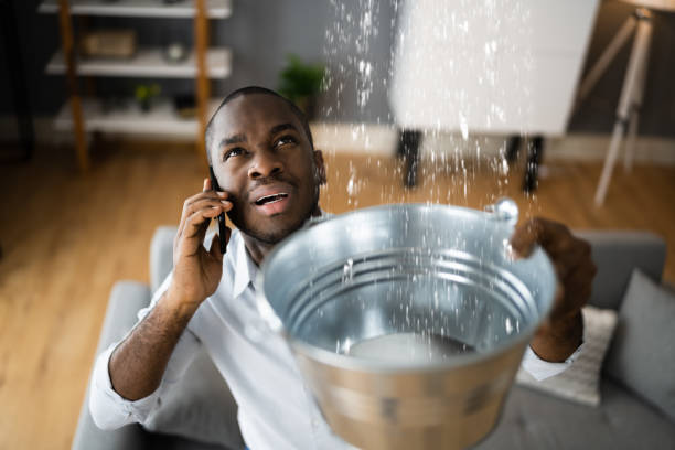 Best Carpet water damage restoration  in Anton, TX