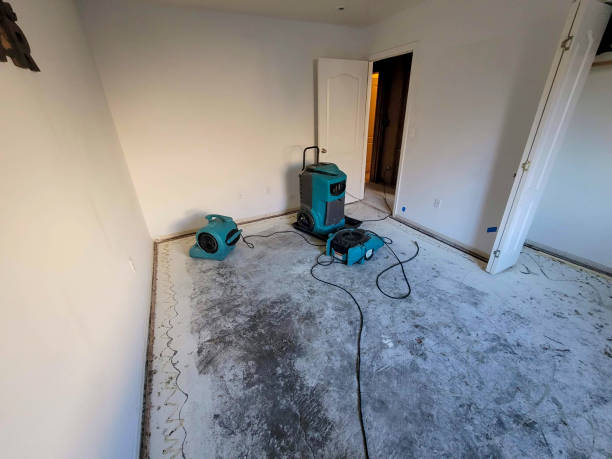 Best Flood restoration services  in Anton, TX