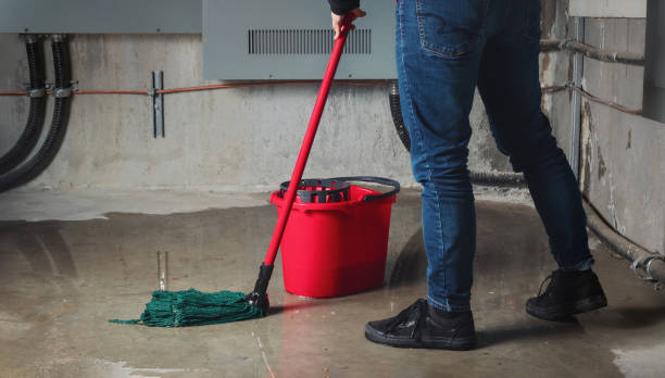 Best Residential water damage restoration  in Anton, TX
