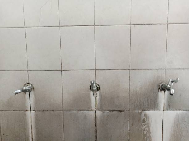 Best Water damage cleanup near me  in Anton, TX