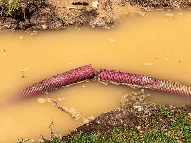 Best Sewage cleanup and water damage restoration  in Anton, TX